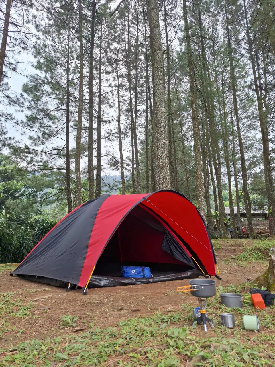 Curug Naga: tenda di area camping hutan pinus